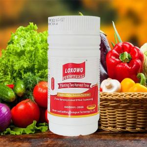 Best Boost Plant Growth Premium Nutrient Solutions Fertilizer