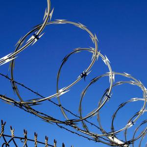 Special Hot Selling High Quality Climbing Barbed Wire Hot -Selling New Products