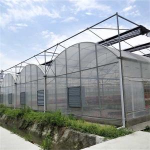 China Strawberries Seedbed Nursery Multi Span Greenhouses with Inner Shading System on sale