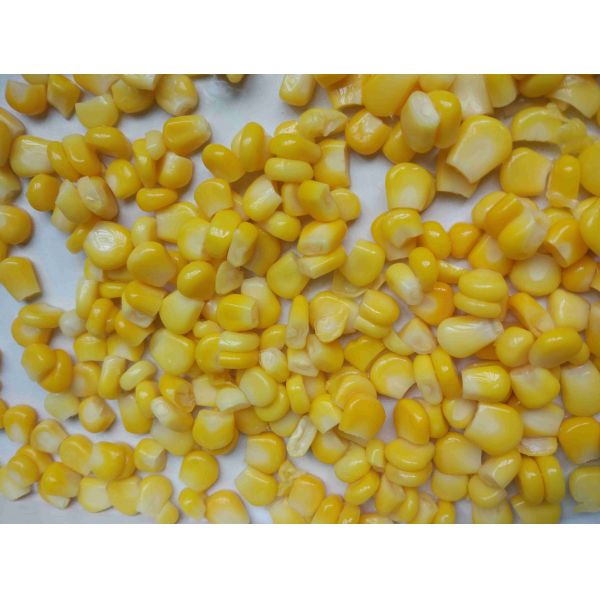 From China Fresh Natural Canned Preserved Sweet Kernel Corn In 340g
