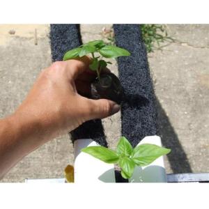 Customized PVC Pipe Vertical Tower Grow Channel Growing System for Vertical