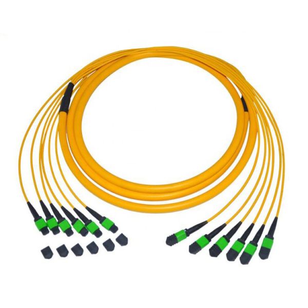 Buy Single Mode 9 / 125 Fiber Optic Patch Cord Cable 12 Fiber Trunk MTP / MPO Pvc at wholesale prices