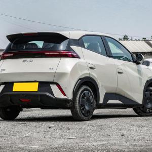 2025 BYD Seagull, upgraded intelligent driving, improved safety configuration.