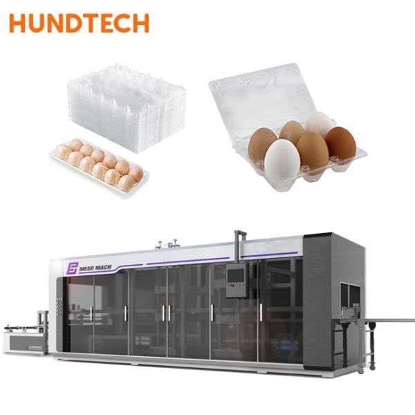 Buy PET 0.15mm Plastic Tray Thermoforming Machine Automatic Multiplication at wholesale prices