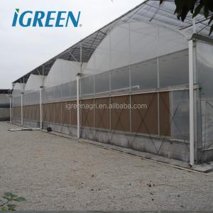 10m Tunnel Width Multi Span Greenhouse Hot Zone Desertic Wind Resistance