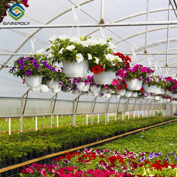 Buy OEM Agriculture Green House Commercial Glass Greenhouse With Humidity Regulation at wholesale prices