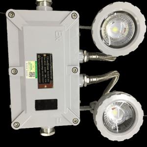 6w Led Explosion Proof Emergency Light Twin Head Wall Mounted