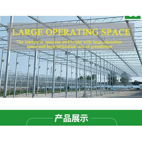 Good Light Permeability Essential for Venlo Glass Greenhouse in Agricultural Industry