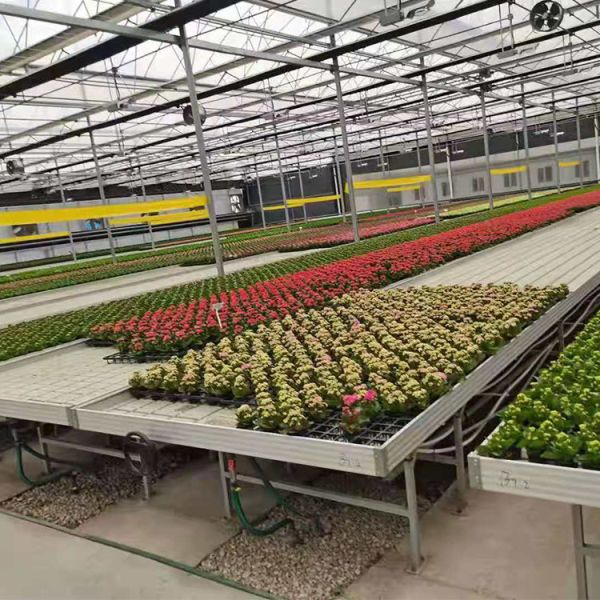 Buy Agricultural Plastic Greenhouse Benches Economical Practical Ebb And Flow at wholesale prices