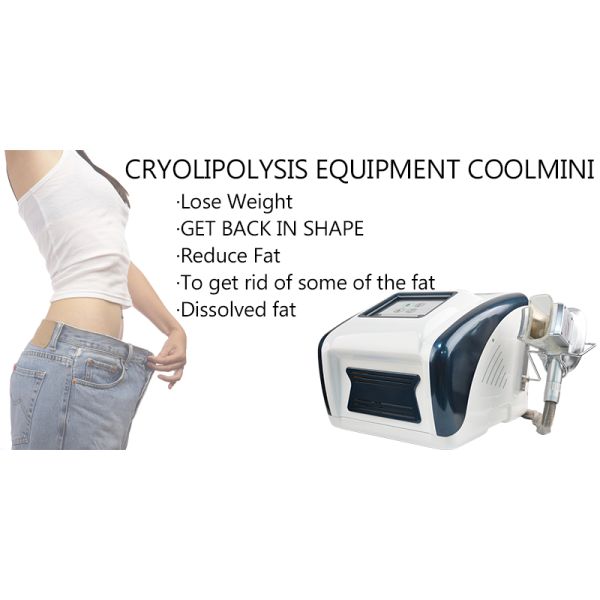 12V Cool Mini Fat Reduction Cryolipolysis Slimming Machine