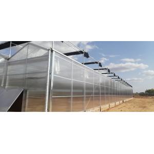 Prefab Agricultural Greenhouses with Industrial Polycarbonate Sheets and Cooling
