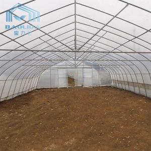 China Hot Aluminized Zinc Single Span Plastic Film Greenhouse 8m Width on sale