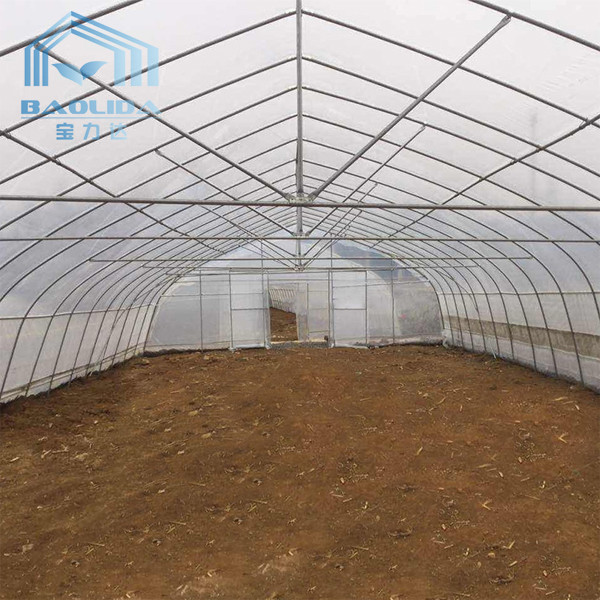Buy Hot Aluminized Zinc Single Span Plastic Film Greenhouse 8m Width at wholesale prices