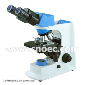 WF10x/18mm 40X 1000X Quadruple Nosepiece Learning Compound Optical Microscope