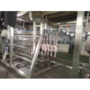 300 Chickens / H Poultry Farming Equipment Scalding Plucking Slaughtering