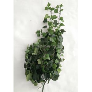 Artificial English Ivy Bush