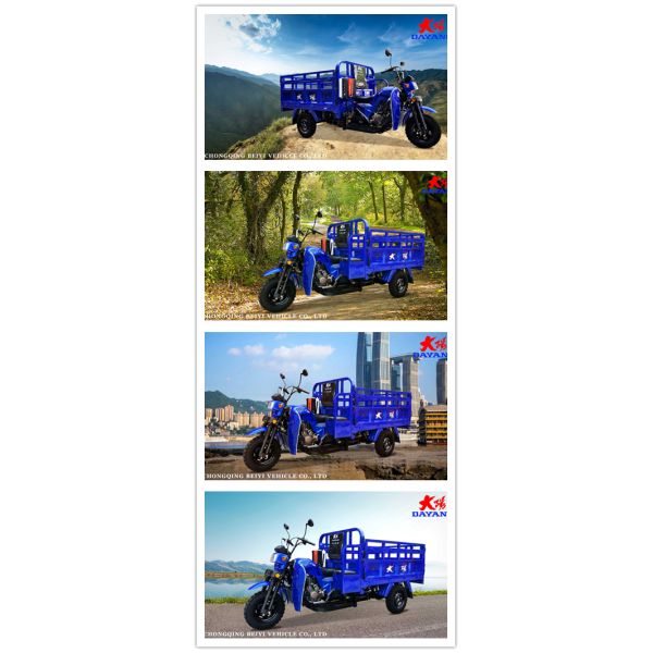 12V Voltage 175cc Heavy Loading Motorized Cargo Tricycles for Cargo Transportation