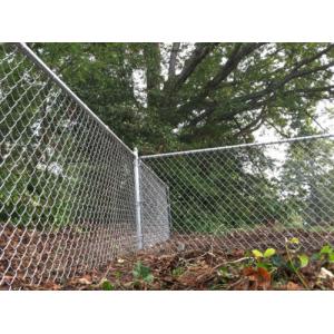 Hot-dipped Galvanized black vinyl chain link fence 2.1m*10mx50x50mm