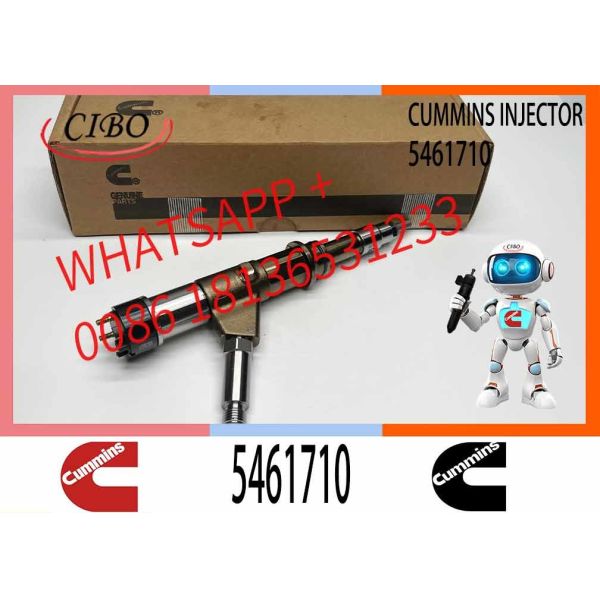 Diesel Fuel Injector Common Rail Fuel Injector 4307475 5461710 5572006 5491515 5491661 5491531 4384786