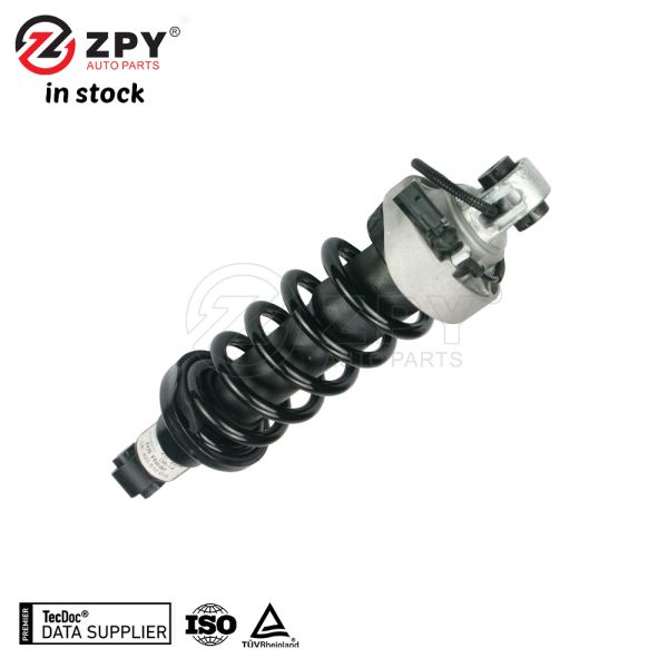 ZPY 420512019AM Shock Absorber for Audi R8 VW Porsche Pair