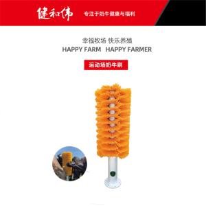 Six Mounting Holes Livestock Scratching Brush Hot Dip Galvanized