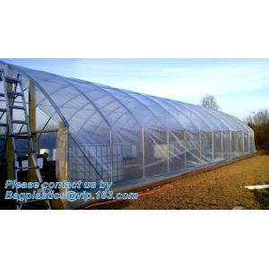 Agricultural PE Film, Agriculture Polyethylene, Film, mulch films, horticultural
