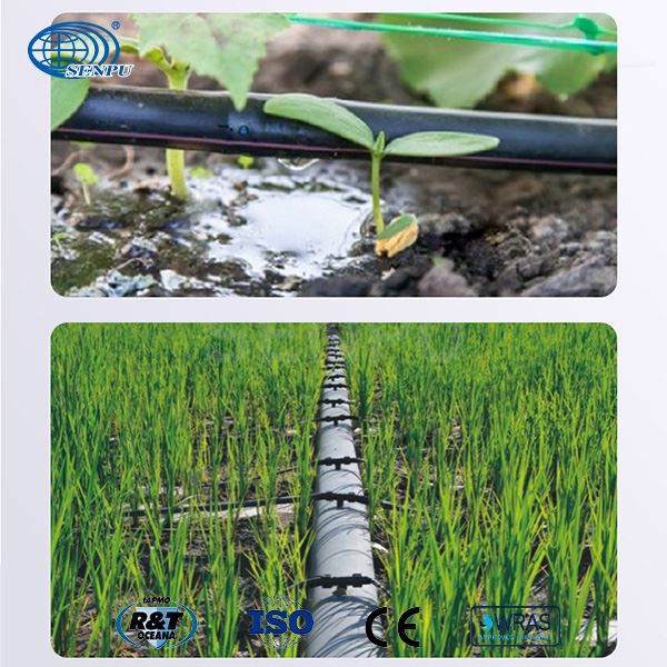 444622c95691c9404eb28641b95b26f0_1602471515650716 444622c95691c9404eb28641b95b26f0_1602471515650716