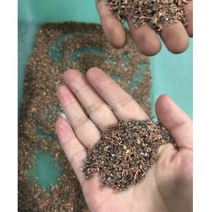 OEM service Industrial Color Sorter For Aluminium And Copper