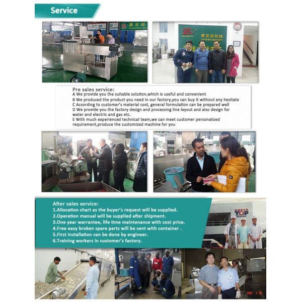 Stainless Steel 1-6Ton/H Pet Dog Food Manufacturing Plants