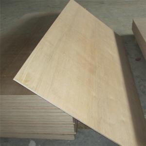 China Furniture Decorating Bintangor Plywood on sale