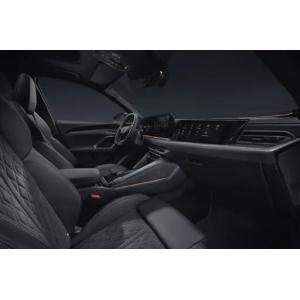 Audi Q5L 2025 quattro 45th Anniversary Collector's Edition 40TFSI Fashionable