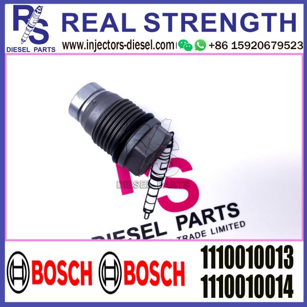 BOSCH Control Valve relief valve 1110010013 1110010014 1110010026 1110010027 1110010017 Applicable to Diesel Engine