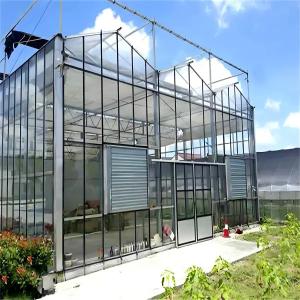 Modern Venlo Glass Greenhouse for Gerbera Daisy Cultivation