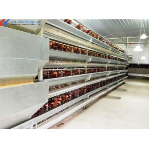 5 Tiers 6 Tiers Poultry Layer Cage H Type Animal Feeding Chicken Metal Cage