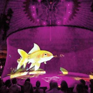 Quality SMX Pepperscrim Holographic Mesh Screen for Stage Performances and Presentations for sale