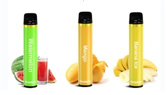 Buy 16 Puffs 380mAh Disposable Vape Pen Capacity 5ml at wholesale prices