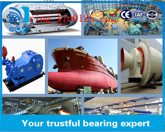 Specialize GCR15 Big Cylindrical Roller Bearing NNU4148 Wear Resistant