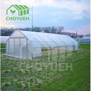 Single Span PE Film Tunnel Greenhouse With Galvanized Steel Frame