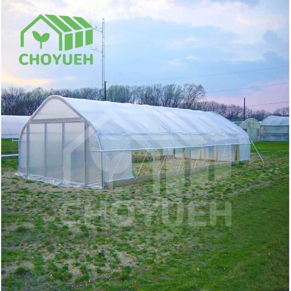 Light Transmittance Tunnel Greenhouse with Mechanical Ventilation and Optional