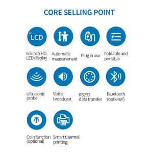 High Weight Scale Machine with Coin Weighing Scales Manufacturer
