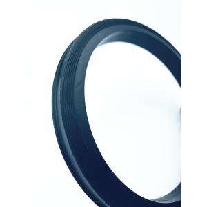 Made in China Hammer Union Lip Seal Ring HNBR