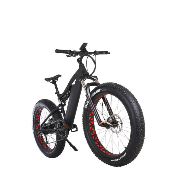Customized Electric Bicycle 48v 500w Full Suspension E Bike with 13 AH Down Tube Battery