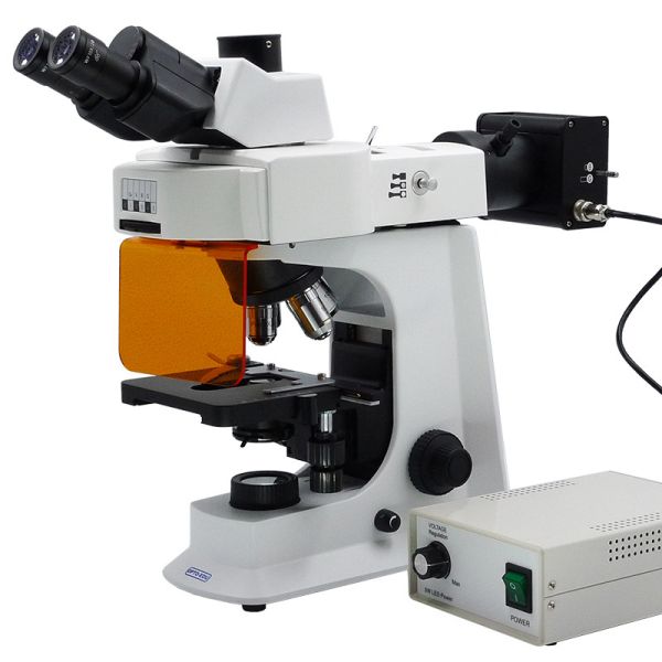 Buy 40x - 1000x LED Trinocular Fluorescence Microscope For Research / Learning at wholesale prices