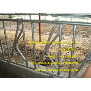 Farm Customized Cow Headlock / Cattle Feeding Panels Hot Dip Galvanizing Pipe