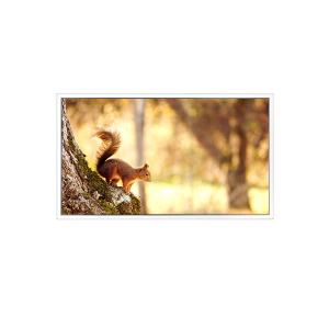 Quality NEW EV156FHB-N12-2HP0 1920*1080 15.6 inch LCD Screen FOR Industrial for sale