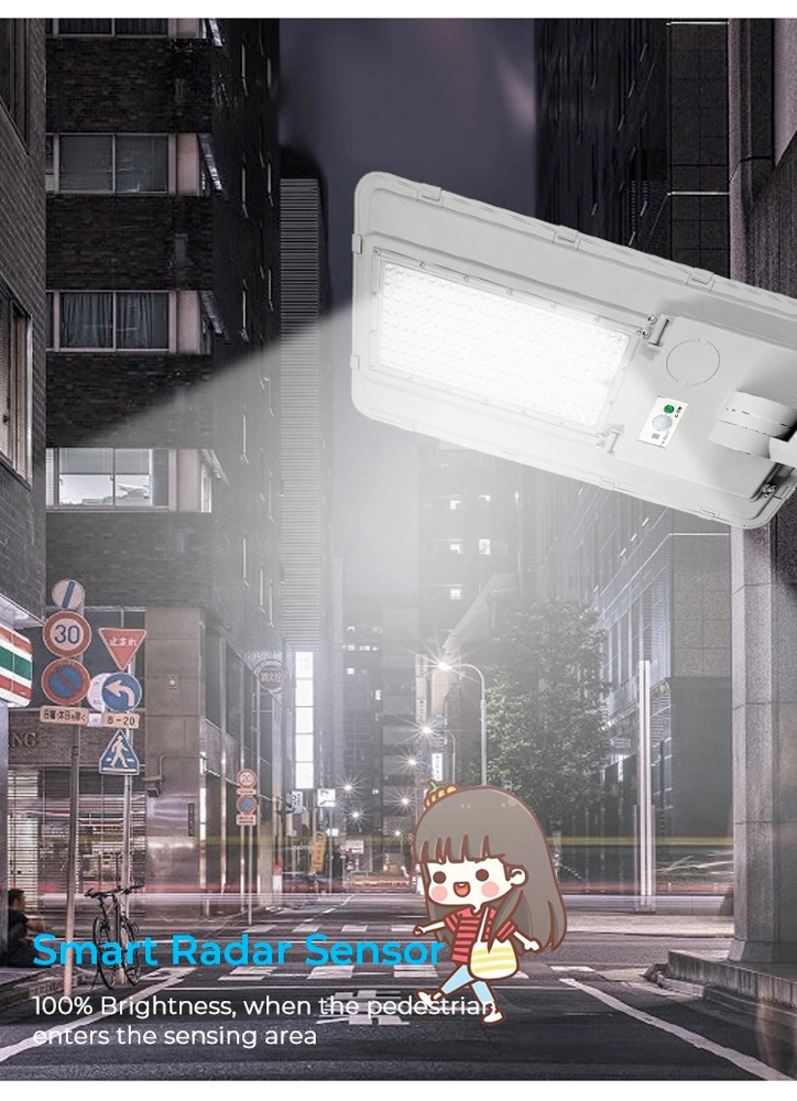 Intergrated Lamp LED Solar Street Lights Outdoor 100w Motion Sensor