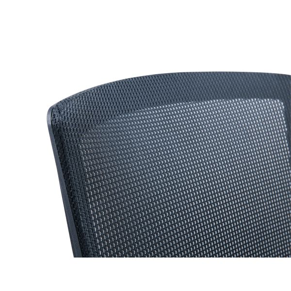 Stainless Steel Executive Office Chair with Adjustable Armrest and BIFMA Certification