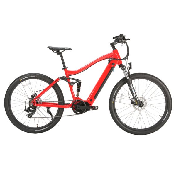 48V 10.5Ah Battery EMB20 Mid Drive Bafang Motor Electric Fat Bike with 700C Wheel Size