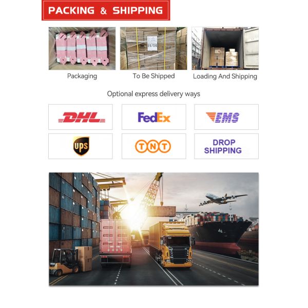 ISO Custom Printed Paper Gift Bags Bulk Order CMYK / Pantone Color