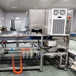 KM-1000 Dried Apple Dice Color Sorter with Optional 201/304 Material